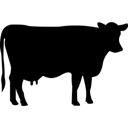 Prakruthi